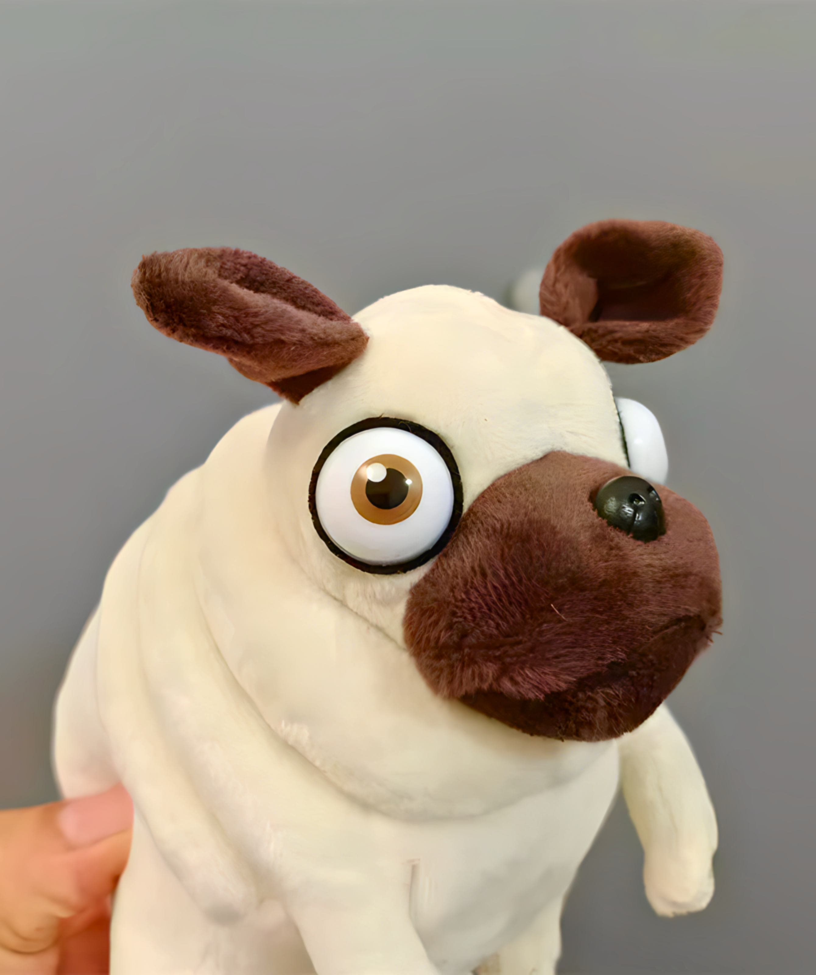 Peluche Pug