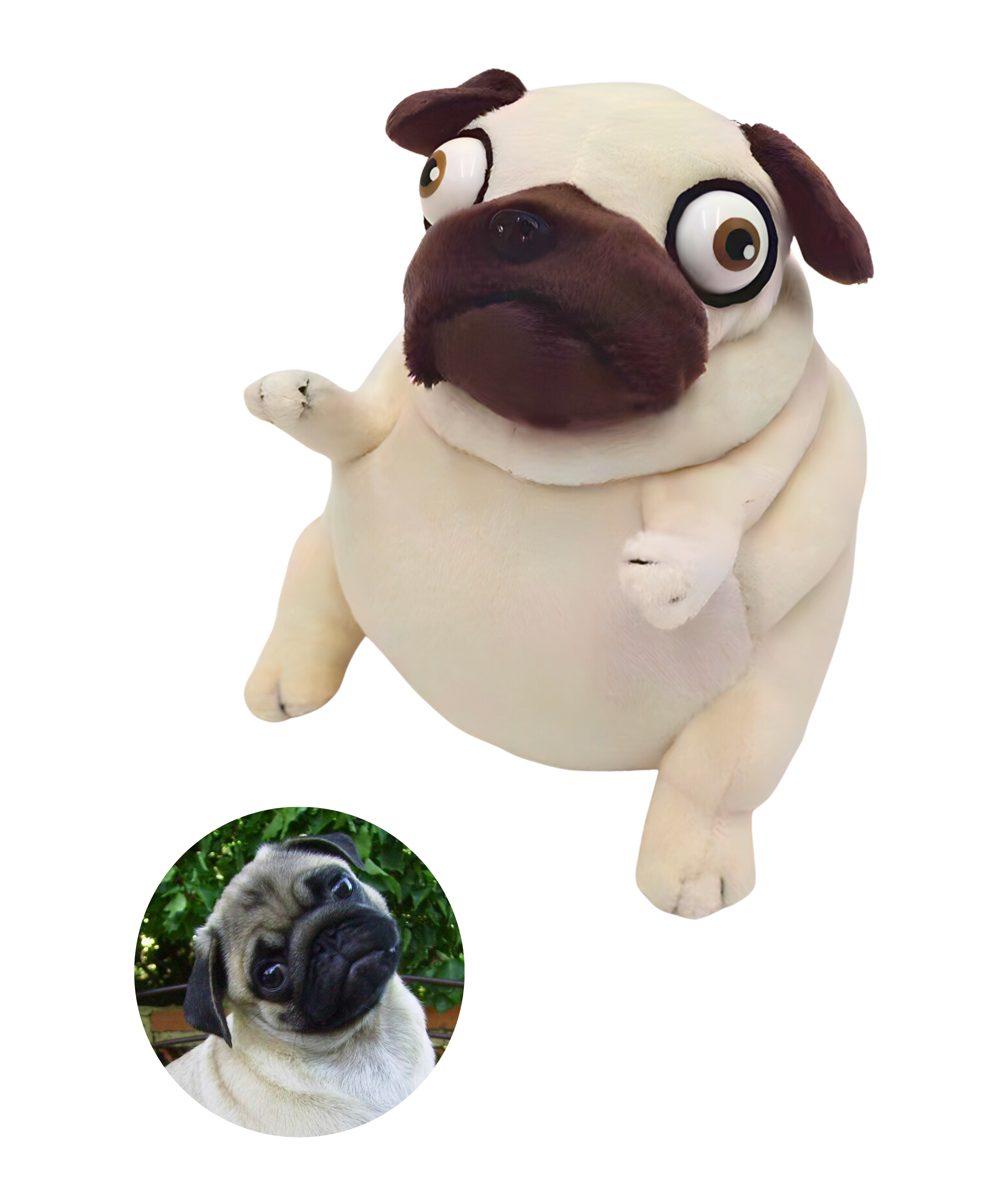 Peluche Pug