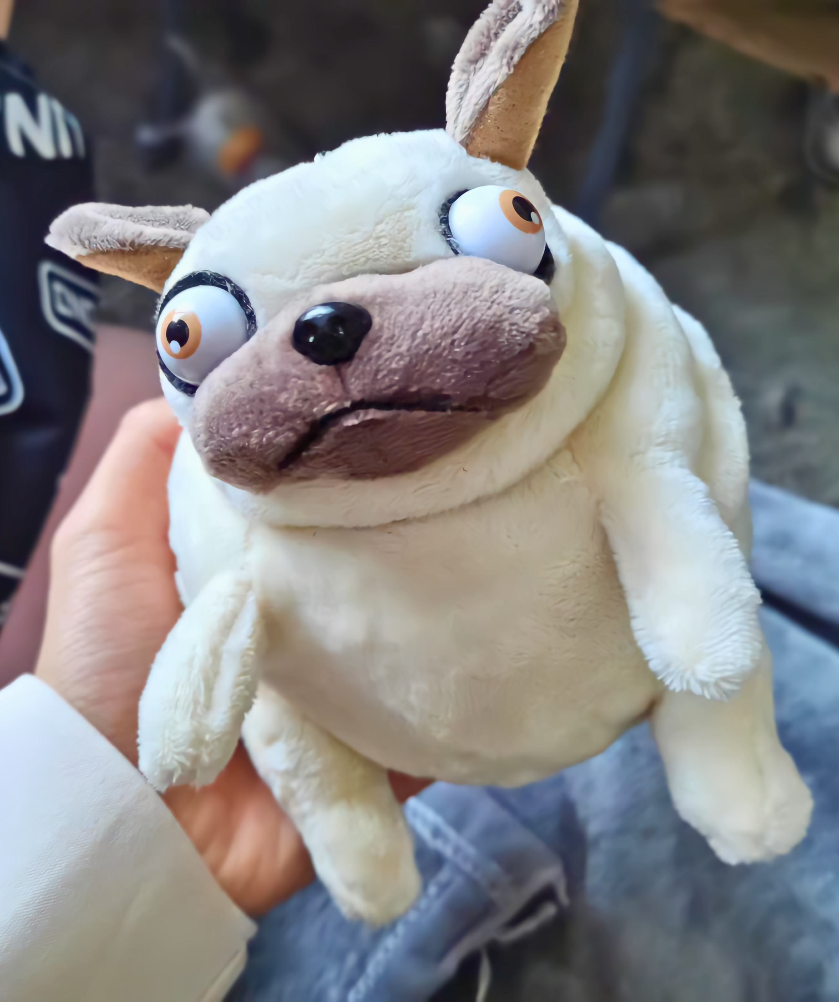 Peluche Pug