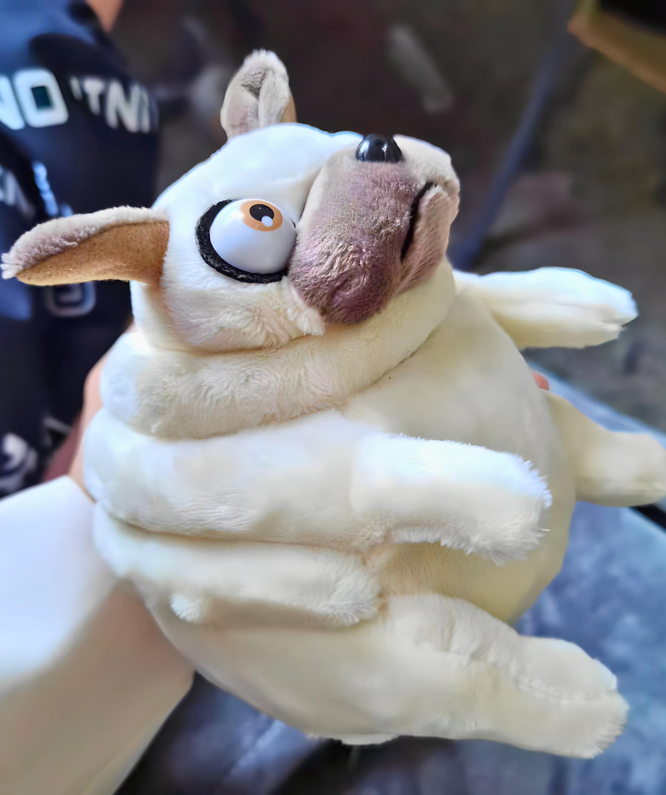 Peluche Pug
