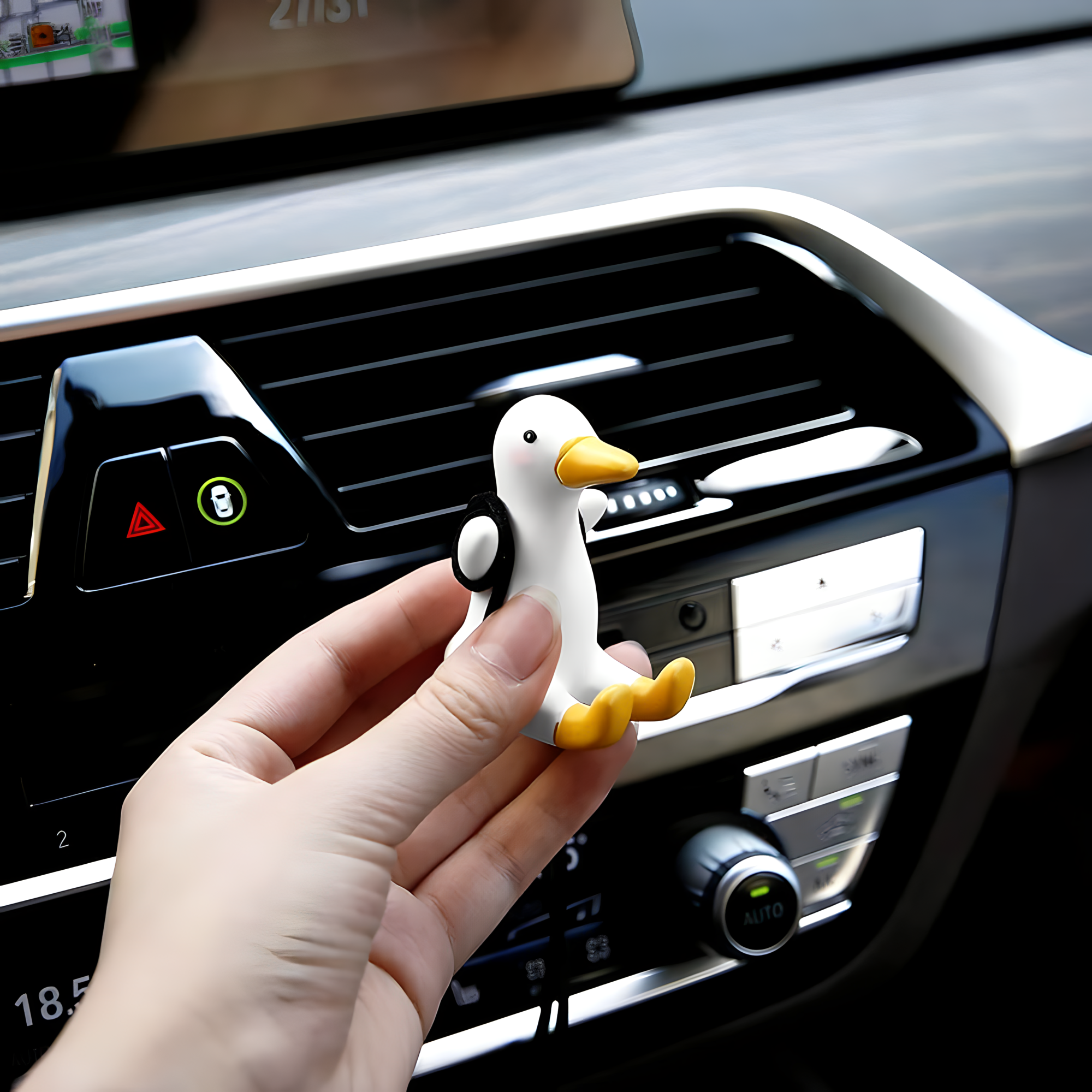 Accesorio de Pato