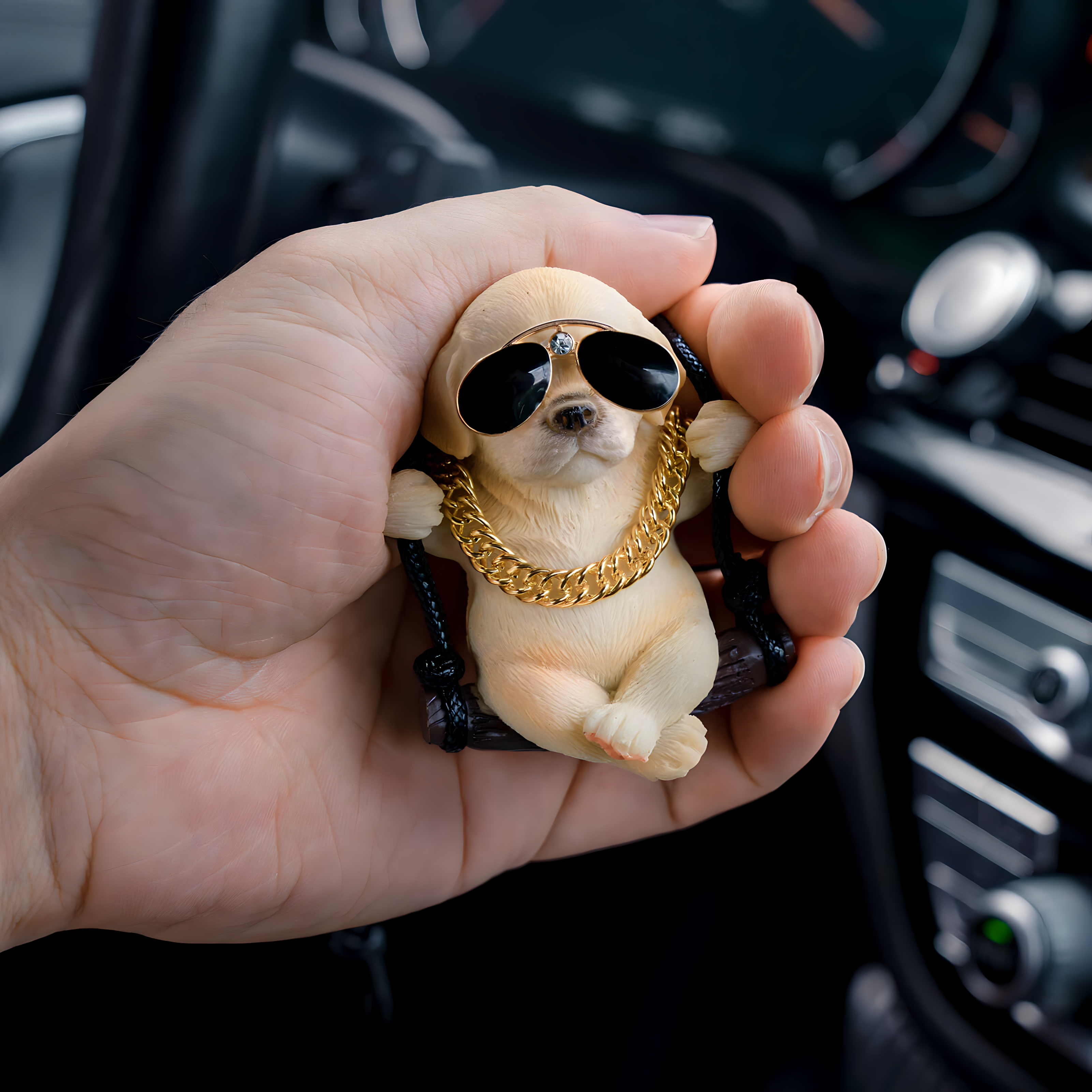 Accesorio Cachorro Cool