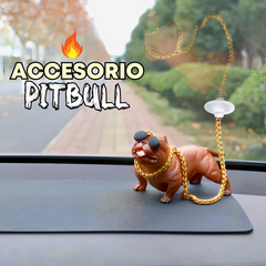 Accesorio Pitbull