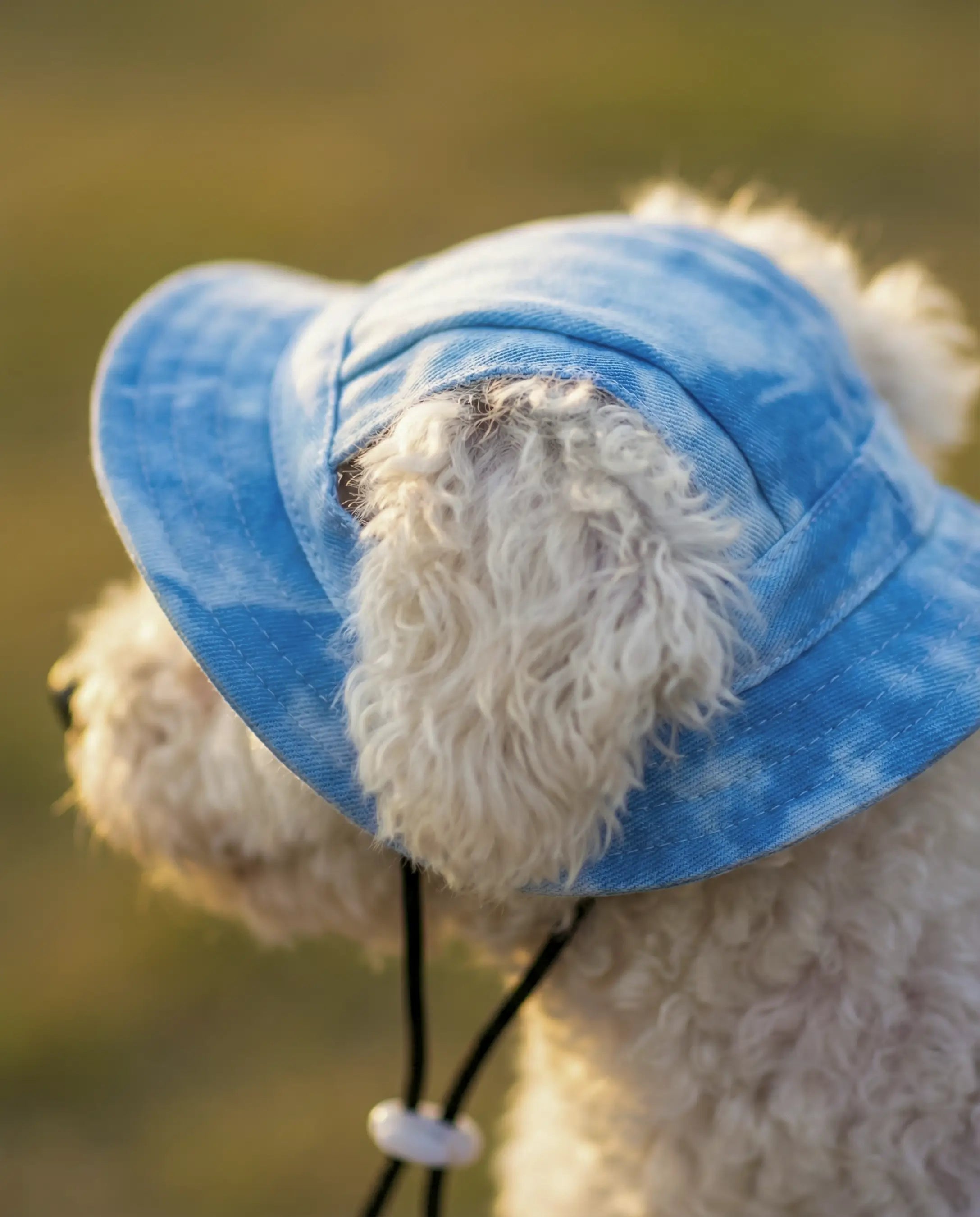 Gorrito Pet – Paseos frescos, peludos felices