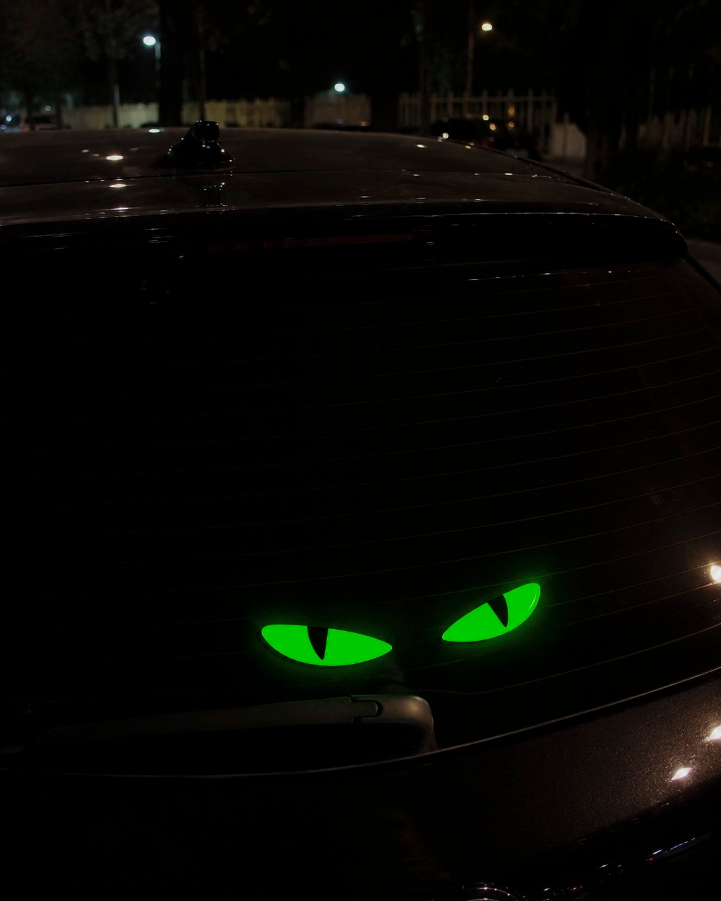 Sticker Ojos de Gato Luminosos