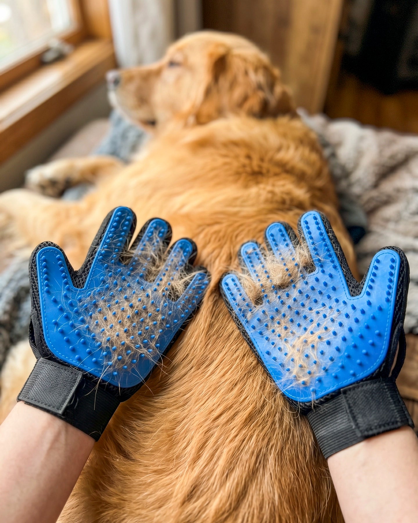 Guantes Cepillo para Mascotas
