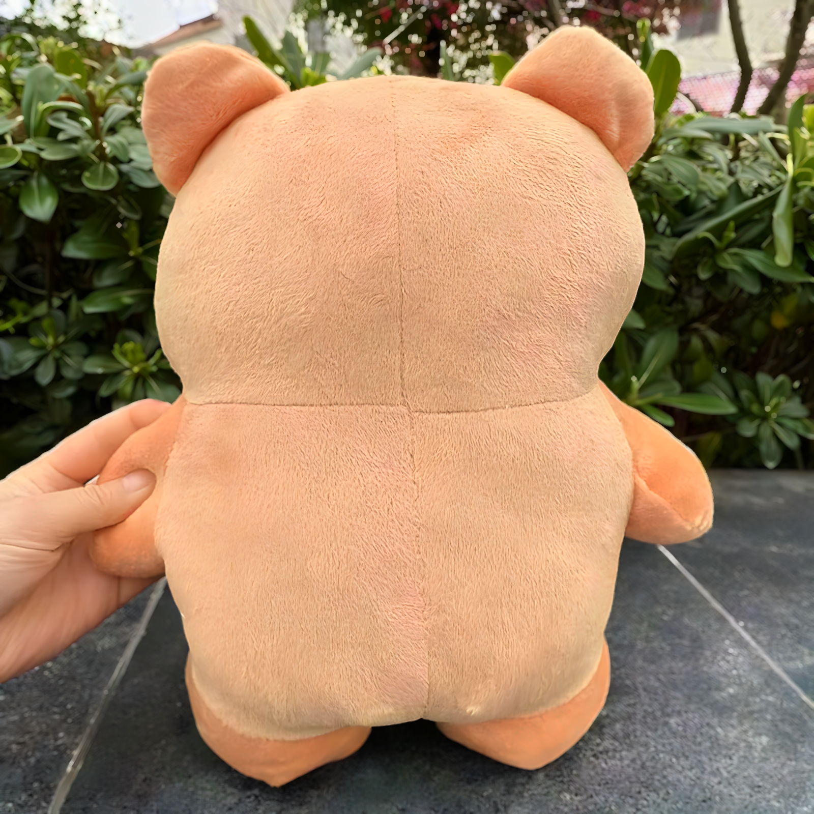 Peluche Osito Musculoso