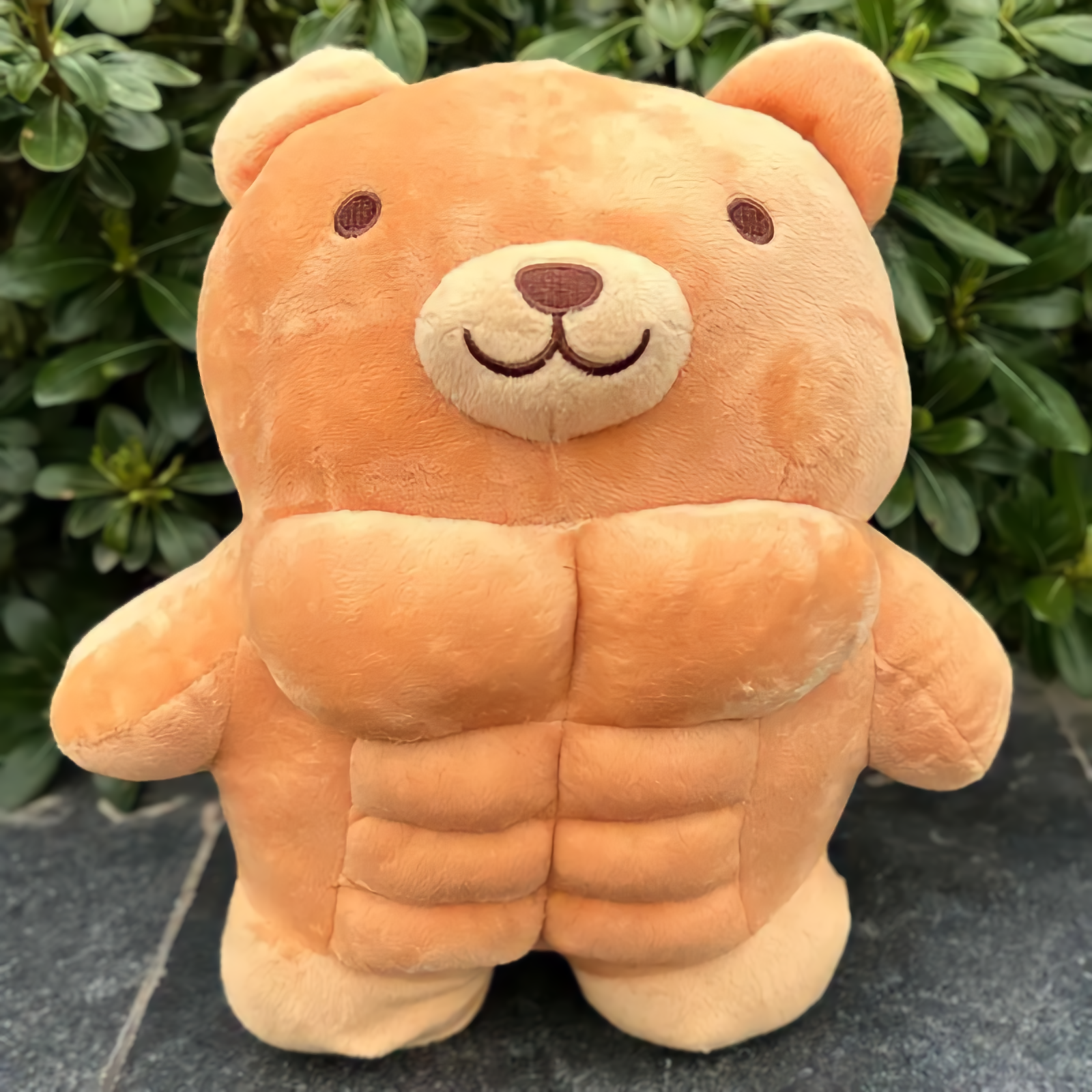 Peluche Osito Musculoso