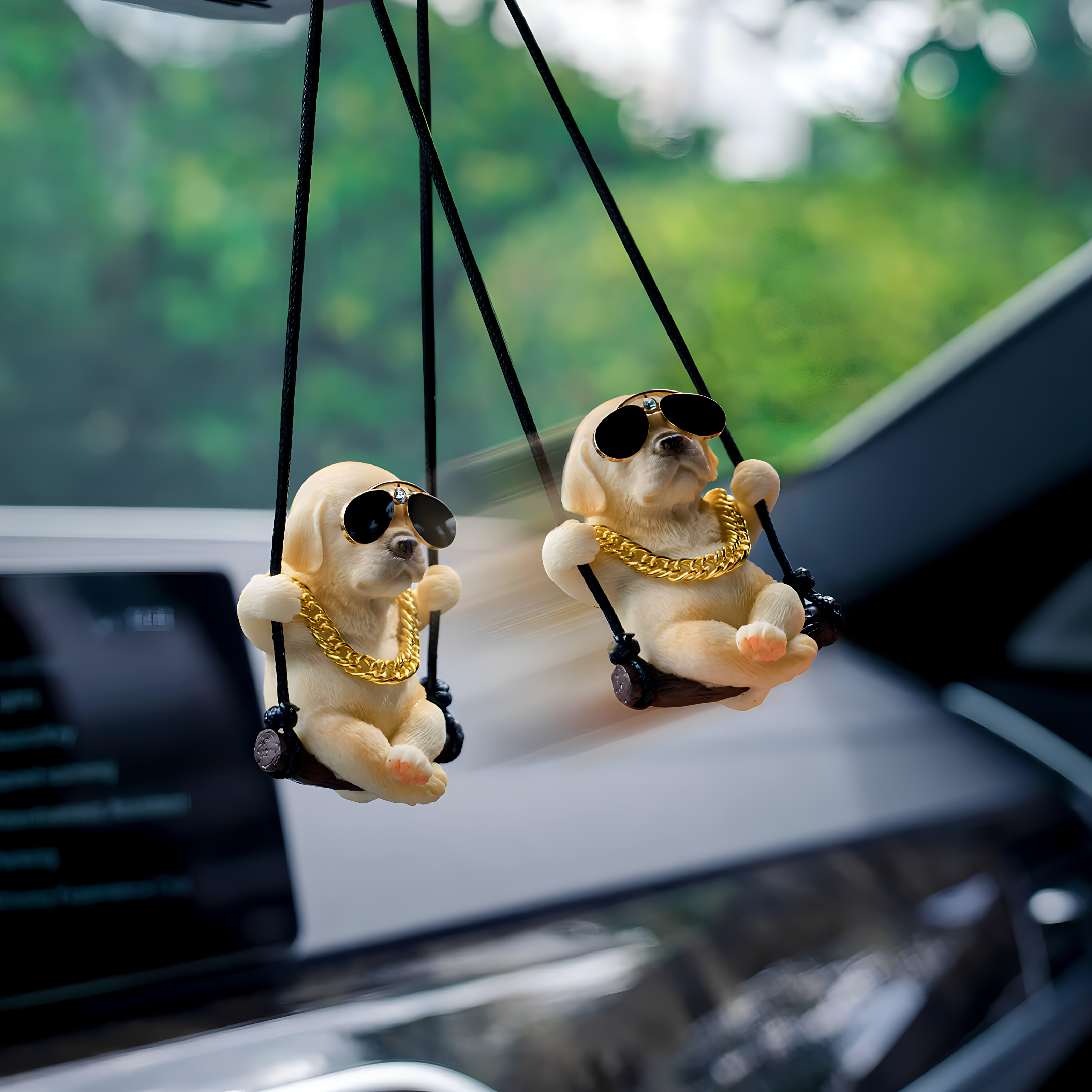 Accesorio Cachorro Cool